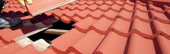 compare Harley Shute roof repair quotes